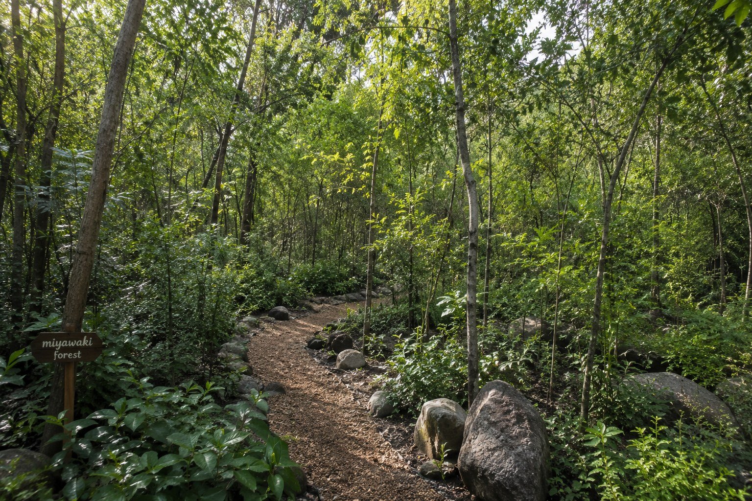 Miyawaki Forest