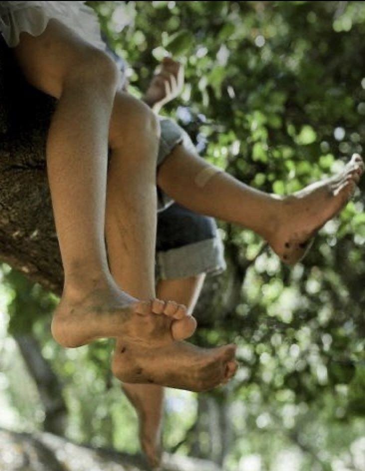 Feet dangling from the climbing tree