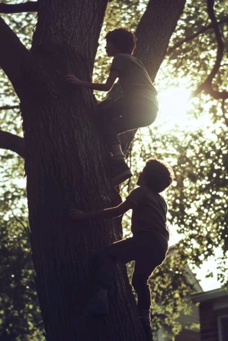 Children climbing a tree